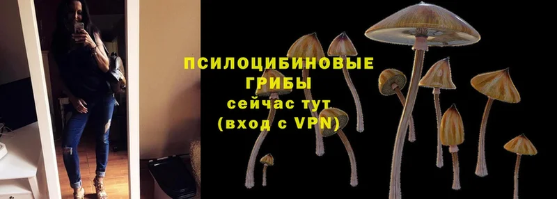 Галлюциногенные грибы MAGIC MUSHROOMS  Калининец 